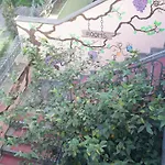 Hostel Villekulla *